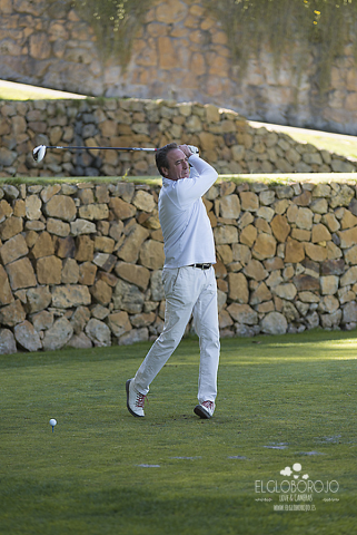 LW3FLVIHCCEHYKVELRAW