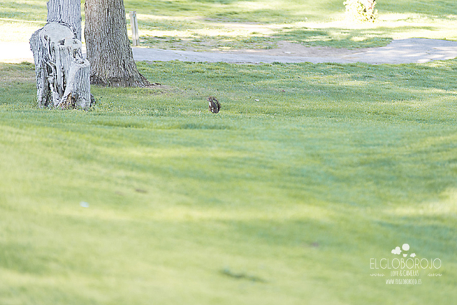 QNXTXXVH943SWF8GID60