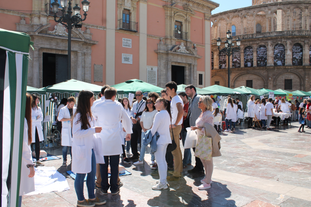 anlvls7bd85mk0letelf